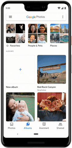 Animated GIF - Find & Share on GIPHY