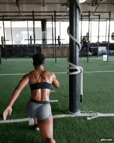 giphy.gif