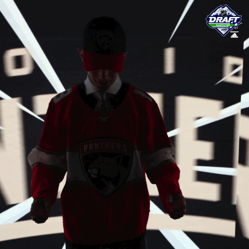 Ice Hockey Sport GIF by NHL Find & Share on GIPHY