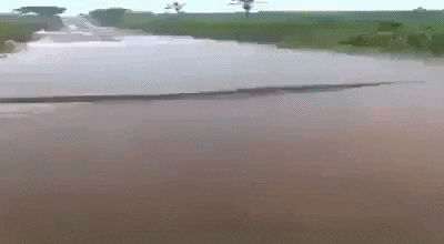 One big snake in wow gifs