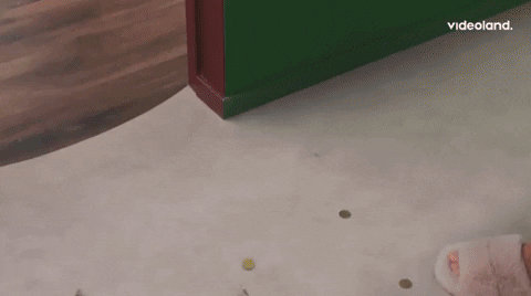 giphy.gif