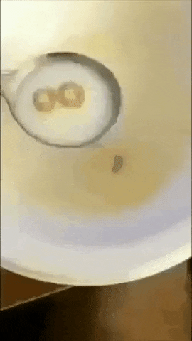 My life at breakfast time in funny gifs