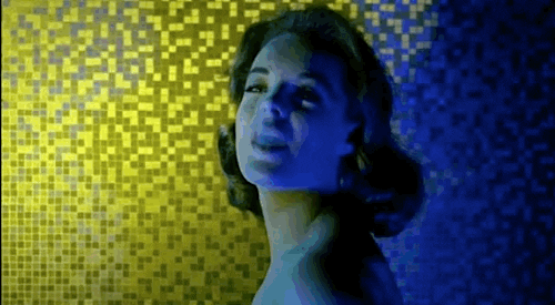 giphy.gif