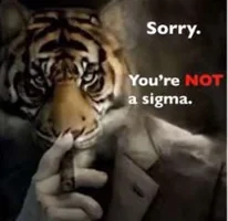 not a sigma GIF to use in Instagram comments