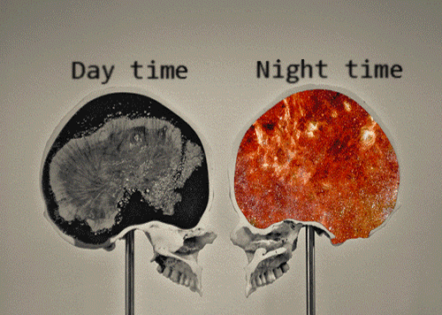 Comparison of brain activity between our brain during the day vs. at night. Our dreaming brain is vibrant and activated, and colorful, while our day time brain is illustrated in black and white.