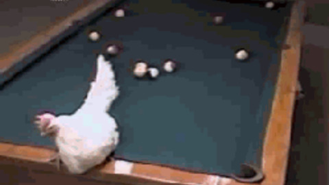 Snooker shot of the year