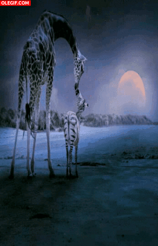 https://media.giphy.com/media/hDBfJAH38nDWM/giphy.gif