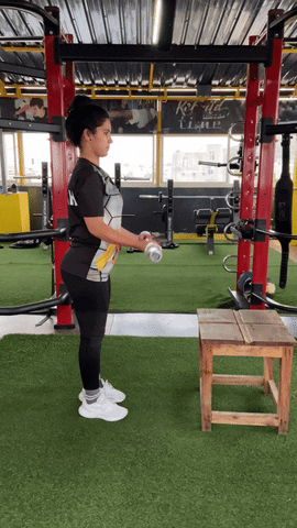 10-Minutes Full Body workout plan from home 14 Barbell Biceps Curl