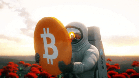 Image représentant la chaîne vidéo du mois : Découvre Bitcoin