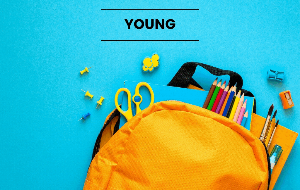 endlaces Roll your laces,The gadget for any shoes Indiegogo