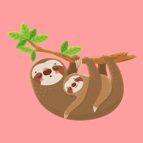Animals GIF