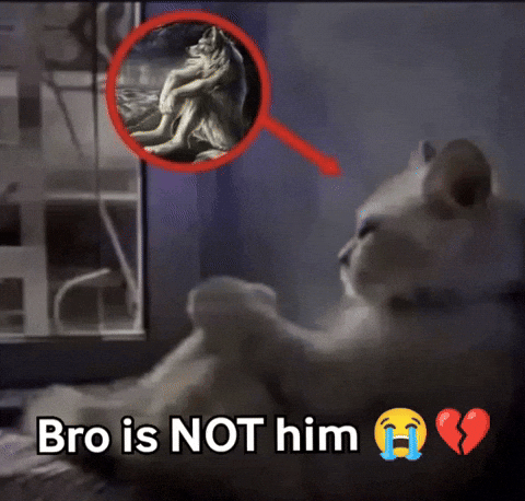 Bro is Not Him