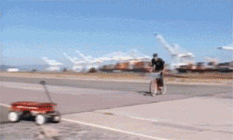 giphy.gif