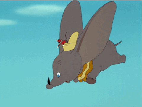 Dumbo GIF - Find & Share on GIPHY
