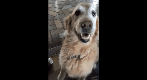 Https Encrypted Tbn0 Gstatic Com Images Q Tbn 3aand9gcrq8f Gaj0gqczlpftxld4jmy8tvn7hzhojxfoacl6xhebyzr57