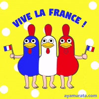 POV: à, en, chez — і заперечення ne…pas 🇫🇷