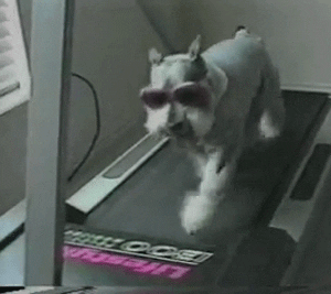 https://media.giphy.com/media/hQaMOWEzudRS0/giphy.gif