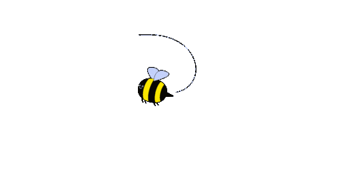 giphy.gif
