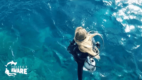 Jump Ocean GIF by Project AWARE