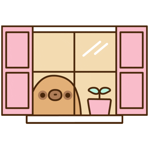 Pusheen cute sloth in window