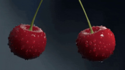 Most satisfying gif ever gif