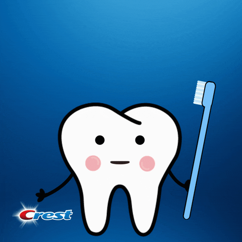 Affordable Detnal Care Clinic For Teeth Cleaning