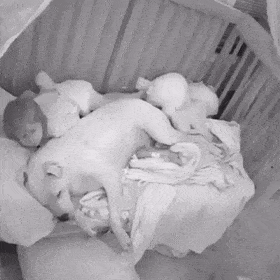 Toddler Covers Dog with Blanket While They Sleep Together