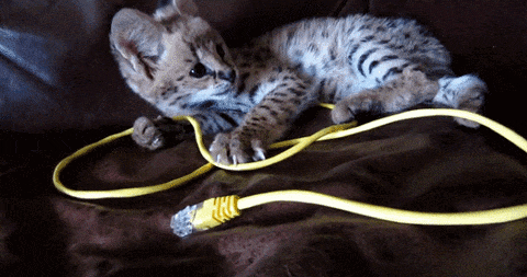 Digilent Usb Jtag Cable Drivers For Windows 7 Digilent Usb Jtag Cable Drivers For Windows 7