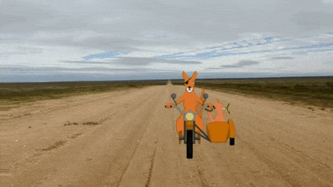 giphy-downsized-large.gif