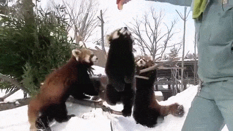 httpsmediagiphycommediahY9gQMHA6W6cMgiphygif