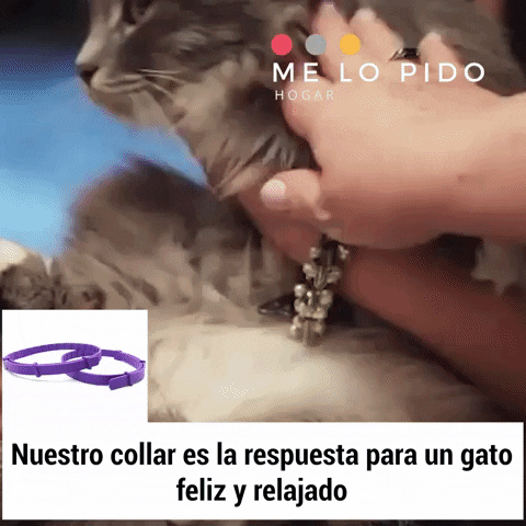 Ferogatos - Collar de Feromonas Felinas