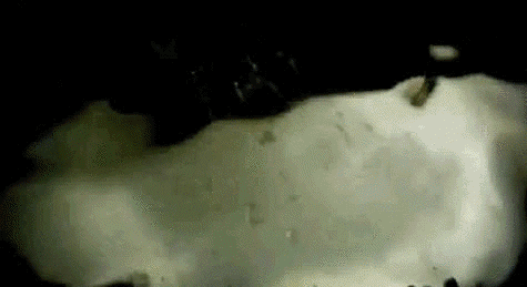 lemmings jumping off cliffs gif lemmings jumping off cliffs gif