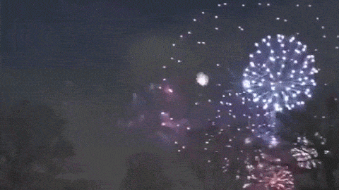 fireworks animations gif