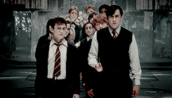 Harry and Neville in a DA meeting