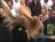 img https://media.giphy.com/media/he0ZlgbmqpW9i/giphy.gif /img
