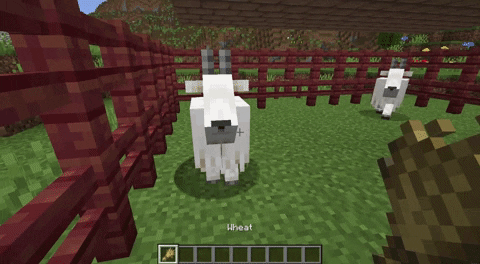 Breeding Goats in Minecraft - How to Make a Goat Farm in Minecraft