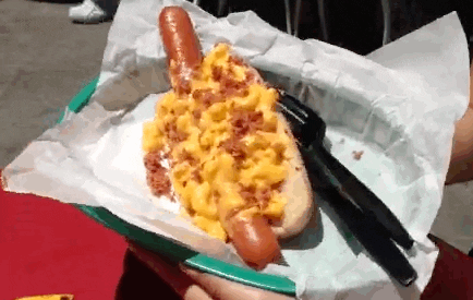 giphy.gif