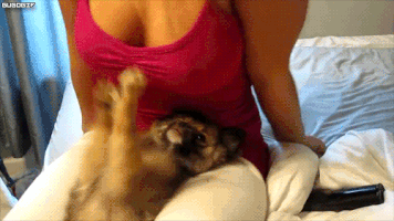 giphy.gif