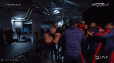Image result for backstage brawl gif wwe