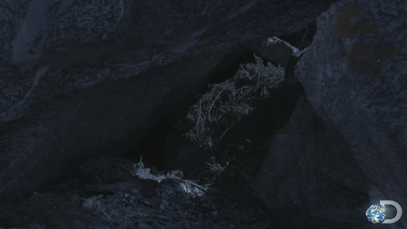 Watching Tv Series Gif Find Share On Giphy Watching Tv Series Gif