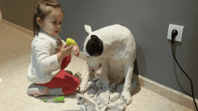  animals kid play doctor patient GIF