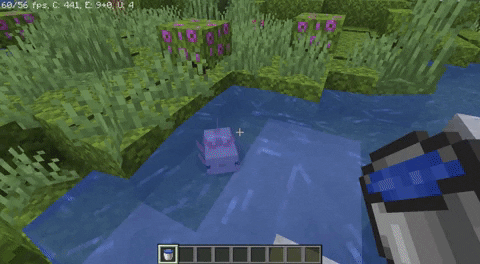 How to tame Axolotls in Minecraft?
