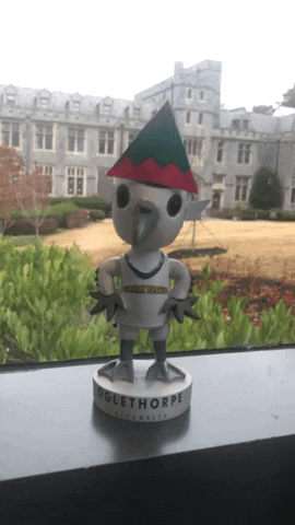 Stormy Petrels Petrel GIF by Oglethorpe University