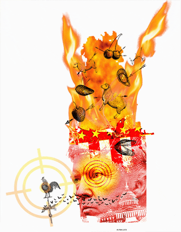 Ilustração: Vítor Higgs/Animação: Nuno Santos