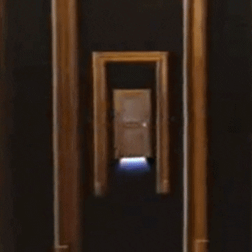 Cameron'S Closet Horror GIF by absurdnoise - Find & Share on GIPHY