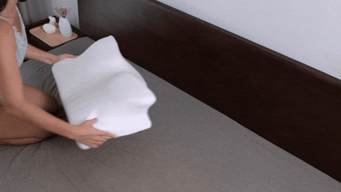 Ergo Z Pillow Review: Can It Solve Common Sleep Complaints?
