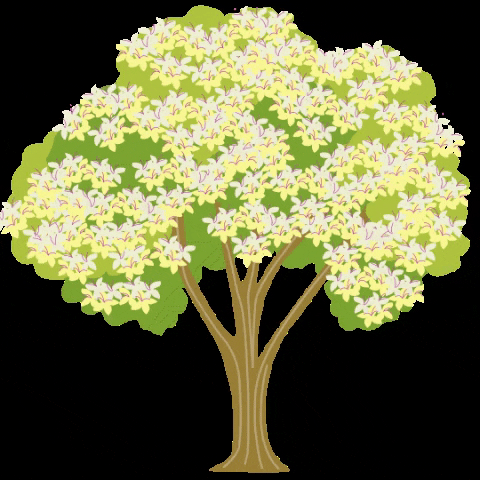 GIF of a tree with flowers shaking