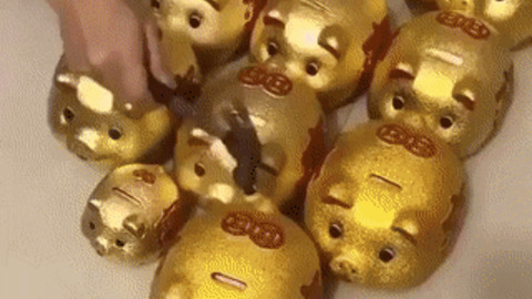 Piggy bank when you are millionaire