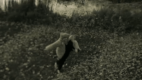 giphy.gif