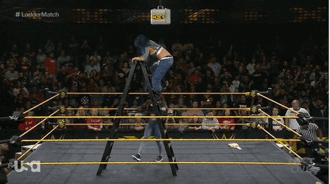 5 mejores luchas de NXT